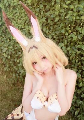 欧美日韩高清免费_DVD免费播放